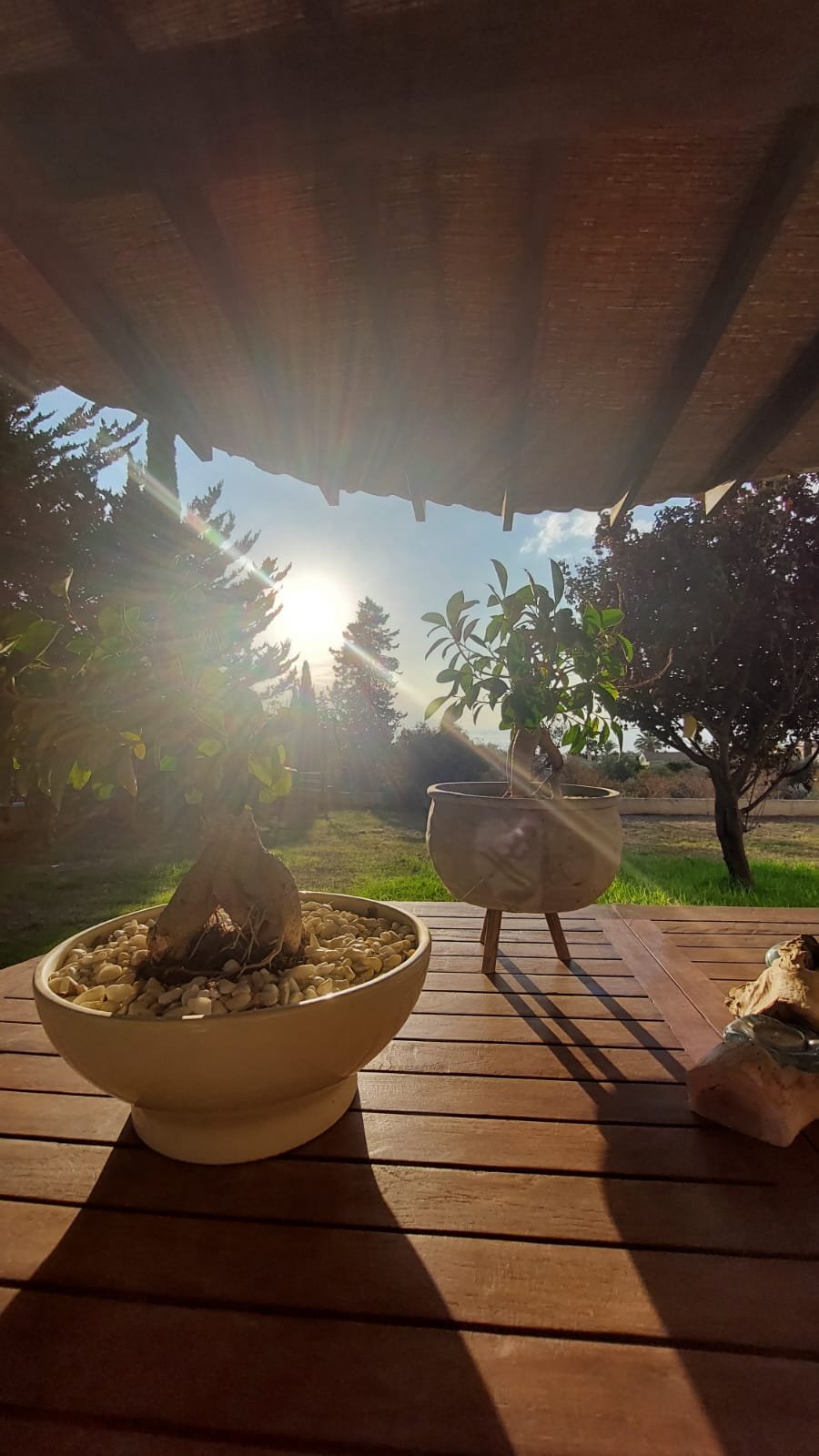 3 Bedroom villa in Tala, Paphos