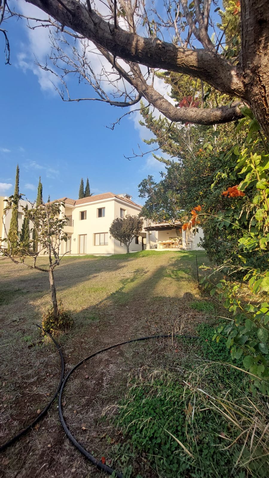 3 Bedroom villa in Tala, Paphos