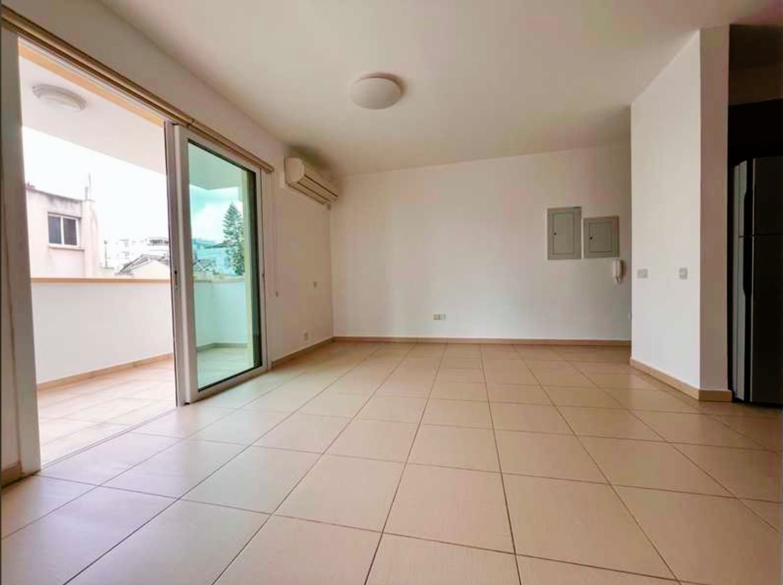 2 Bedroom  apartment in Pallouriotissa, Nicosia