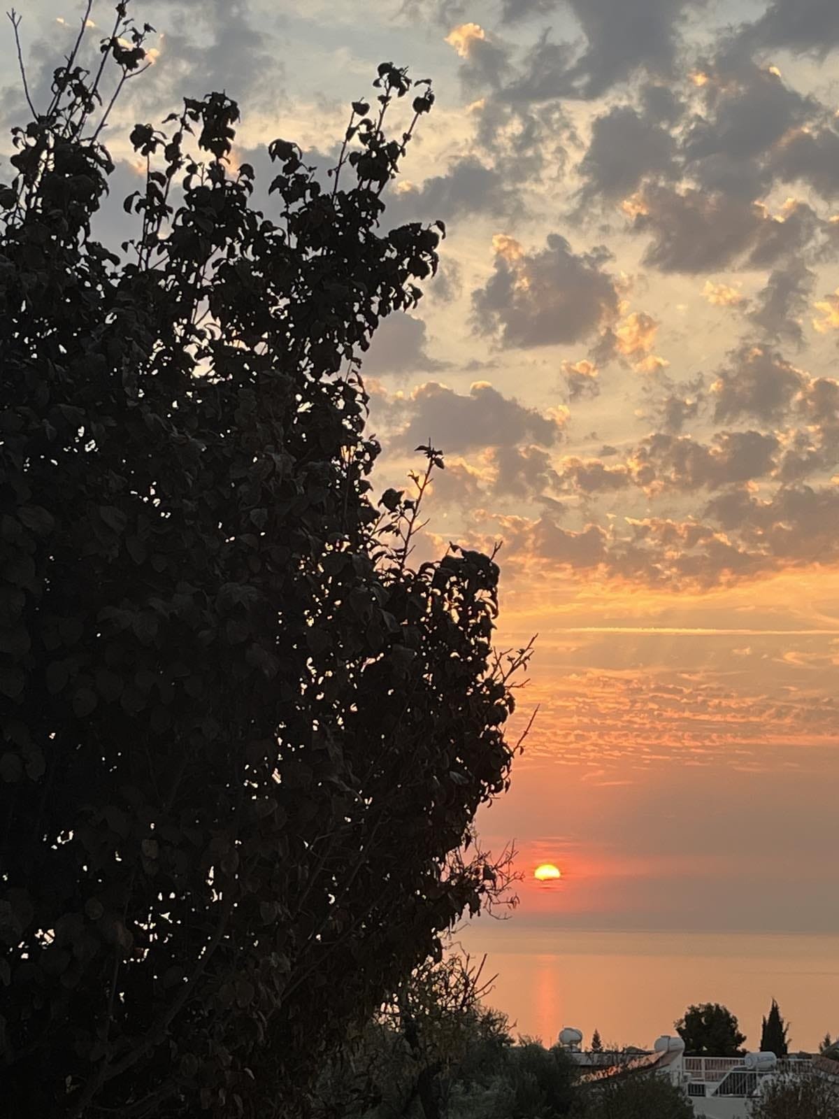 3 Bedroom villa in Tala, Paphos